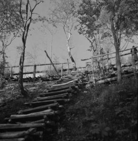 Levina Syväri_06 Portaat Hain sotilaskotiin 31-5-1943_SA-kuva