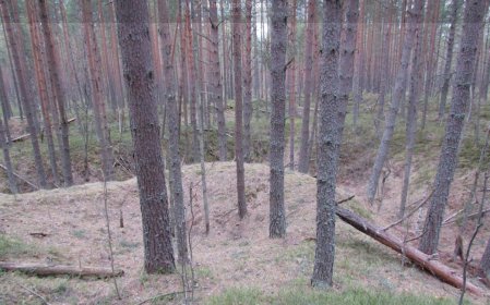 Kuva 3. Linnakankaan skanssi