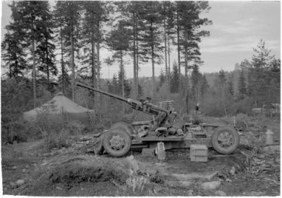 Kaukjärvi kuva 3 Ilmatorjuntatykki Kaukjärvellä 03111941 SAKuva