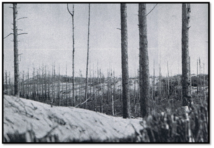 Mottorin mutka Valkeasaari