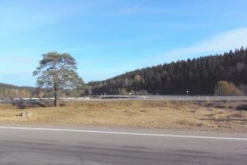 Syvänoron tienristeysalue