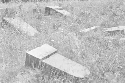 Iljalan tienristeys Pälkjärvi_04 Hautausmaa taistelun melskeen tauottua_SA-kuva 14-7-1941