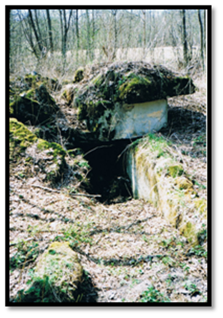 Niittykasematti Terenttilä Taipale