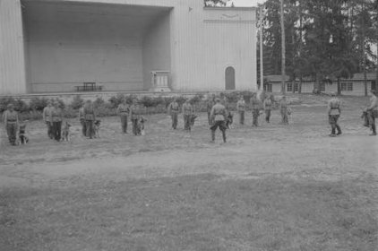 Laululava Sortavala_04 Sotakoiranäytös Laululavan luona heinäkuussa 1942_SA-kuva 31-7-1942