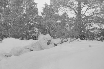 Paimionsaari_01 Laatokan puolustaja Paimionsaaren asemassaan_SA-kuva 1-3-1940