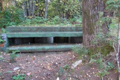 Lotinapellon Sotahistoriapuisto_03 Konekivääripesäke rannassa_Kuva E Naukkarinen syyskuu 2014