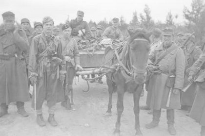 Peski_03 Sotasaalishevonen kuormineen ja ottajineen_SA-kuva 26-8-1941