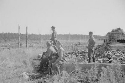 Punaisen talon mäki_04 Taloraunio elokuussa 1941_SA-kuva 5-8-1941