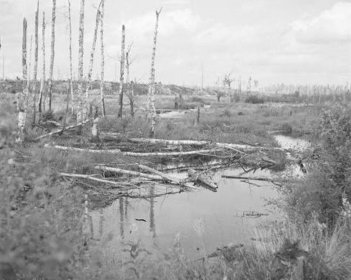 Punaisen talon mäki_02 Kollaanjoki Punaisen talon mäen kohdalla elokuussa 1941_SA-kuva 5-8-1941
