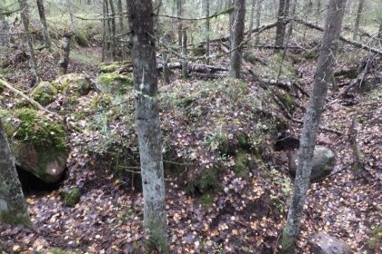 U-asema Rämeoja_01 Bunkkeri kattoa syyskuussa 2016_Kuva E Naukkarinen