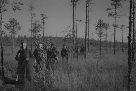 Säämäjoen motti Aunus