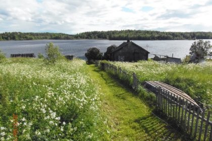 Palalahti_03 Näkymä kylältä Tulemajärven Palalahdelle kesäkuussa 2015_Kuva T Kaarlela