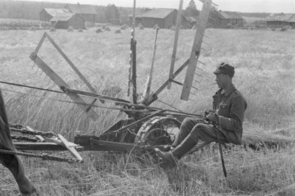Kaukoijärvi_06 Rukiinleikkuuta Kaukoijärvellä_SA-kuva 9-8-1941