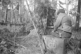 Nirkka Aunus