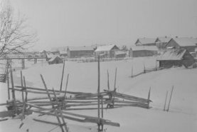 Pisi Aunus