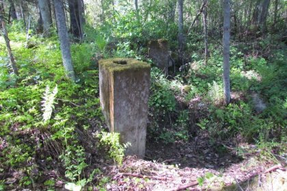 Linjatien pohjoispuolen pallokorsut Podporoze Syväri_05 Pallokorsun AL5584 betoniset ilmanvaihtotorvet kesäkuussa 2017_Kuva E Naukkarinen