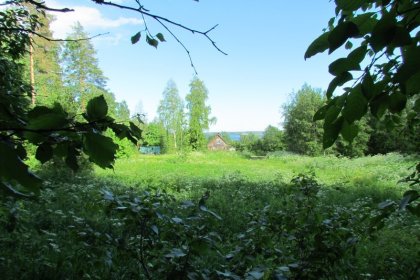 Jeroisen kenttähautausmaa Suojärvi_03 Kenttähautausmaa oli tällä niityllä_Kuva E Naukkarinen heinäkuu 2017