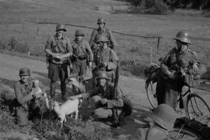 Rytty Sortavala_01 Poikamme löysivät Rytyn lähistöltä vuohiperheen, mikä tiesi maitoa iltapalan painikkeeksi_SA-kuva 21-7-1941