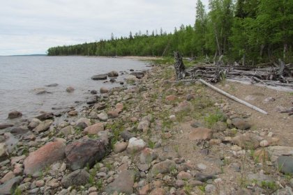 Kuusiniemen tukikohta Seesjärvi Aunus_01 Näkymä länsilounaasta Kuusiniemen kärkeen heinäkuussa 2017_Kuva E Naukkarinen