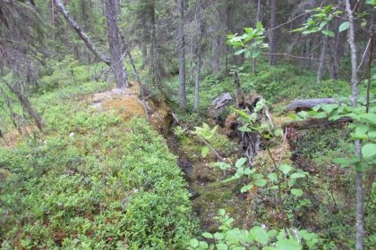 Kuusiniemen tukikohta Seesjärvi Aunus_04 Tukikohdan asemat oli rakennettu kalliosiirrosten ja -halkeamien varaan_Kuva E Naukkarinen