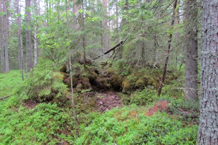 Venäläiset hirsibunkkerit, Pälmän Vanhakylä