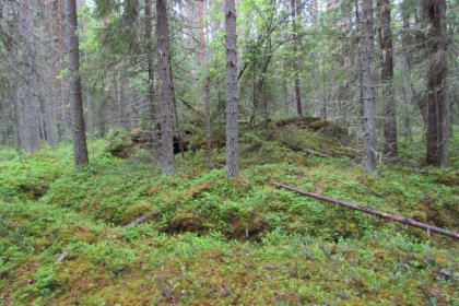 Pälmän Vanhakylä_02 Bunkkeriin mentiin ja sieltä poistuttiin taisteluhautaa pitkin_Kuva E Naukkarinen heinäkuu 2017