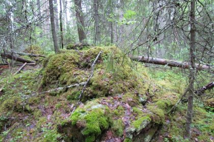 Pälmän Vanhakylä_03 Bunkkeri nro 10 on osittain maatunut kumpareeksi_Kuva E Naukkarinen heinäkuu 2017