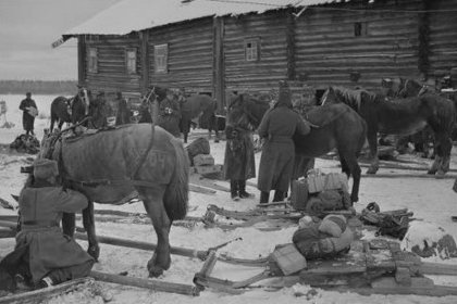 Semsjärvi Aunus_06 Hevosten varustamista talviajoon Semsjärvellä marraskuussa 1941_SA-kuva 1-11-1941