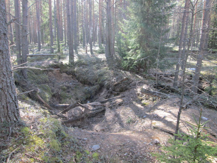 Joukkosidontapaikka Taipale