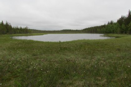 Etulinja Muurmannin valtatien kohdalla_03 Alalampi heinäkuussa 2017_Kuva E Naukkarinen