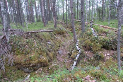 Etulinja Muurmannin valtatien kohdalla_04 Etulinjan varustuksia heinäkuussa 2017_Kuva E Naukkarinen