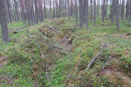 Etulinja Muurmannin valtatien kohdalla_05 Etulinjan varustukset erottuvat selkeinä monin paikoin_Kuva E Naukkarinen heinäkuu 2017