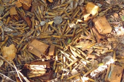 Kolhoosimäen seisake Viena_08 Irtopatruunoita on seisakkeen maastossa siellä, täällä_Kuva T Kaarlela syyskuu 2017