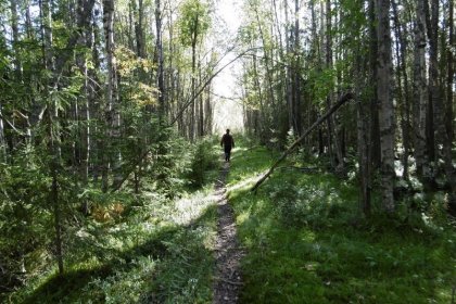 Kolhoosimäen seisake Viena_09 Kolhoositie on nykyisin kinttupolku_Kuva E Naukkarinen syyskuu 2017