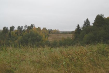 Kolmas Ratkaiseva  Präkkä Aunus_06 Kolhoosin peltoniittyä lokakussa 2017_Kuva E Naukkarinen