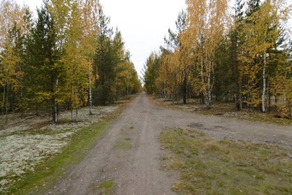 Venäläinen sotilaslentokenttä Salmi_03 Kiitotien ura syyskuussa 2017_Kuva E Naukkarinen