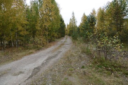 Venäläinen sotilaslentokenttä Salmi_04 Kiitotien ura syyskuussa 2017_Kuva E Naukkarinen