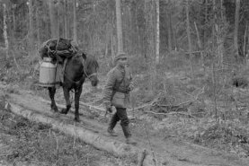 Tetrijoki Pistojärvi Viena