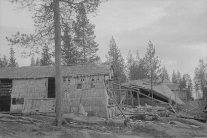 Kiestingin kenttäsairaala Viena_02 Näkymä Kiestingin hevostalleilta elokuussa 1941_SA-kuva 8-8-1941