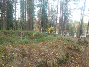 Saksalaisen XXXVI Armeijakunnan esikunta-alue Alakurtti_02.png