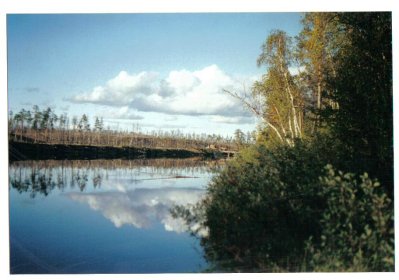 Osasto Pennanen Luttojoki