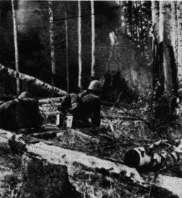 Murokallin louhikkoinen maasto