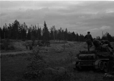 Portinhoikka yleiskuva