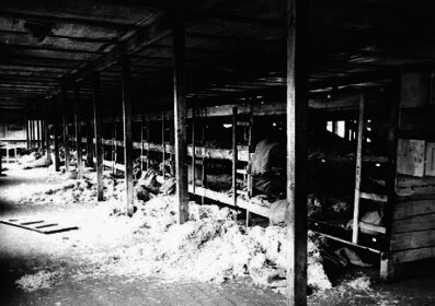 Kaiserwald keskitysleiri Latvia_03