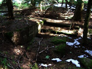 Tannenberg Hitlerin päämaja_01